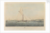 The cutter yacht 'Dagmar' by Thomas Goldsworth Dutton