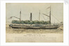 The steam vessel 'Ramona' by Unknown