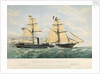 The 'Empress Eugenie' by Maclure