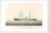 The screw steamships 'Charles Howard',  'Richard Cobden' and 'Rhone' by Thomas Goldsworth Dutton