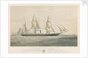 Steamship 'Torino' ad Elice di Bandiera Sarda 1859 Tonnellate 300 Cavalli Della Compagnia Transatlantica per la Navigazione a vapore by Thomas Goldsworth Dutton