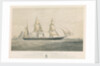 Steamship 'Torino' ad Elice di Bandiera Sarda 1859 Tonnellate 300 Cavalli Della Compagnia Transatlantica per la Navigazione a vapore by Thomas Goldsworth Dutton