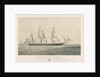 Steamship 'Torino' ad Elice di Bandiera Sarda 1859 Tonnellate 300 Cavalli Della Compagnia Transatlantica per la Navigazione a vapore by Thomas Goldsworth Dutton