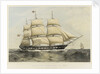 Clipper ship 'Newcastle' by Thomas Goldsworth Dutton