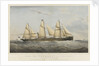 Steam ship 'Viceroy by Thomas Goldsworth Dutton