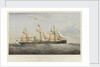 Steam ship 'Viceroy by Thomas Goldsworth Dutton