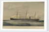 Screw steam ship 'Sultan' by Thomas Goldsworth Dutton