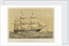 Clipper Ship 'Shannon' by Thomas Goldsworth Dutton