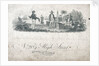 Neopolitan fighting ship dressed overall by Emeric