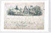 Neopolitan fighting ship dressed overall by Emeric