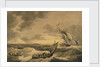 Loss of the Lady Hobart packet boat, also two lifeboat with survivors by John Thomas Serres