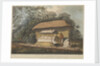 Views in the South Seas... Waheiadooa, Chief of Oheitepeha, lying in state by John Webber
