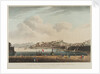General view of the island of Elba, Porto Ferraio, the town & castle, late the retreat of N. Bonaparte by A.S. Terreni