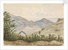 On the way to the Laguna, Valparaiso by Hamilton Williams