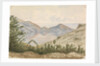 On the way to the Laguna, Valparaiso by Hamilton Williams