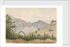 On the way to the Laguna, Valparaiso by Hamilton Williams