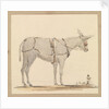 Study of a donkey with a bridle and harness by Robert Streatfeild