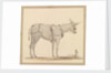 Study of a donkey with a bridle and harness by Robert Streatfeild