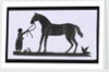 Silhouette of a woman leading a big horse, cut out and placed on white backround by unknown