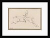 Small sketch of a jockey on a galloping racehorse by Robert Streatfeild