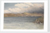 Settlement at Port Stanley, Falkland Islands, May 1849 by Edward Gennys Fanshawe