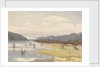 Lake of Acoleo [Aculeo], Chile, Jany 11th 1851 by Edward Gennys Fanshawe