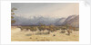Two Leagues from Santa Rosa [Chile], Jany 14th 1851 [with the Andes and Aconcagua] by Edward Gennys Fanshawe