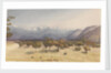Two Leagues from Santa Rosa [Chile], Jany 14th 1851 [with the Andes and Aconcagua] by Edward Gennys Fanshawe