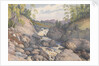 Rogie Falls, Rosshire, August 1883 [Scotland] by Edward Gennys Fanshawe