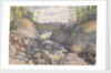 Rogie Falls, Rosshire, August 1883 [Scotland] by Edward Gennys Fanshawe