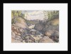 Rogie Falls, Rosshire, August 1883 [Scotland] by Edward Gennys Fanshawe