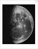 Astronomical glass plate slide of the Moon (1903) by Unknown