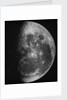 Astronomical glass plate slide of the Moon (1903) by Unknown