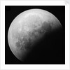 Astronomical glass plate slide of the Moon lunar eclipse (1910) by Unknown