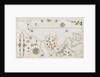 NE Atlantic and W Mediterranean by Joannes Oliva