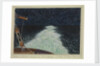 Display of Pyrosoma seen from the R.R.S. Discovery, Nov 11th 1925 by Sir Alister Hardy