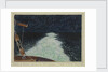 Display of Pyrosoma seen from the R.R.S. Discovery, Nov 11th 1925 by Sir Alister Hardy