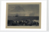 The Discovery at Port Lockroy, Wiencke I, Graham Land, March 1927 by Sir Alister Hardy (photographer)