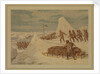 Polar Sketches. On the Northern March, April 8, 1876 by Dr Edward Lawton Moss (artist); Ward