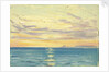 The North Pacific from the 'Umberleigh' by John Everett