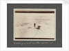 Catching a seal in the pack-ice from National Antarctic Expedition photo album by Sir Ernest Henry Shackleton