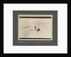 Catching a seal in the pack-ice from National Antarctic Expedition photo album by Sir Ernest Henry Shackleton