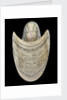 Nautilus shell by C. H. Wood