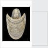 Nautilus shell by C. H. Wood