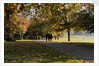 Autumnal image of the Royal Greenwich Park. by National Maritime Museum