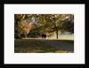 Autumnal image of the Royal Greenwich Park. by National Maritime Museum