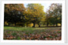 Autumnal image of the Royal Greenwich Park by National Maritime Museum
