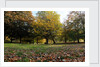 Autumnal image of the Royal Greenwich Park by National Maritime Museum