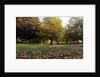 Autumnal image of the Royal Greenwich Park by National Maritime Museum