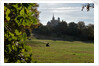 Autumnal image of the Royal Observatory Greenwich including, Flamsteed House, Peter Harrison Planetarium & Altazimuth building and the park by National Maritime Museum